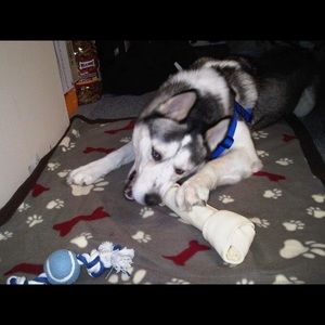 Meet your Posher, Matt